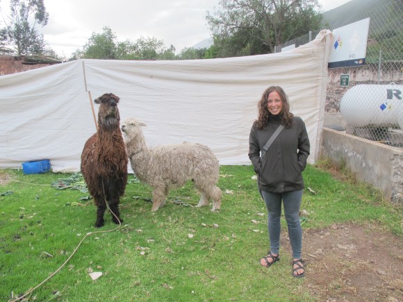 my dreams were coming true with these cuties! 