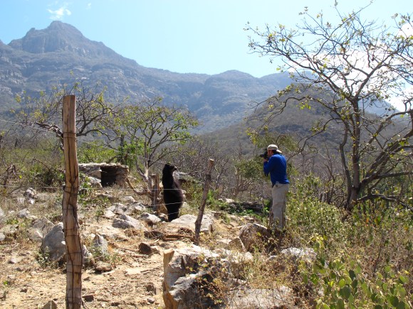 the photographer and bear getting personal.